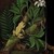 :iconnocturnaltea: