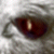 :iconNocturneAdima: