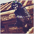 :iconnocturnezack: