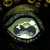 :iconnode-of-ranvier: