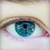 :iconnoebug: