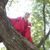 :iconNoel-InuYasha: