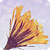 :iconnoelle-mint: