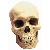 :iconnoetictrinity: