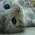 :iconnohaabdellatif: