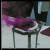 :iconnoimous13: