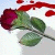 :iconnoir69: