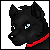 :iconnoirloup13: