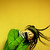 :iconnoise-impact: