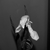 :iconnoiseallaround: