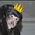 :iconnojoeking: