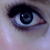 :iconnolaaimee: