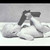 :iconnolifeking93: