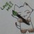 :iconnolifequeen4: