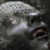 :iconnomadturk: