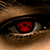 :iconnomorelogo: