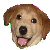 :iconnon-lethal-shoes: