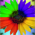 :iconnonah-bh: