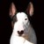 :iconnonamenogame: