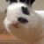 :iconnondairyqueen:
