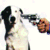 :iconnone18:
