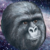 :iconnoneedtobeupsetplz: