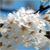 :iconNonEssentialPhotos: