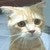 :iconnonsens89: