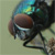 :iconnonspy: