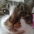 :iconnoob-alchemist: