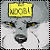 :iconnoobisaur: