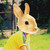 :iconnoodlenoodlex: