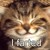 :iconnoodlepup: