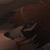 :iconnooknak: