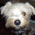 :iconnooner0351: