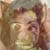 :iconnooramus: