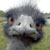 :iconnopanon: