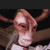 :iconnoprobsrobs:
