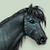 :iconnora-lara: