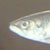 :iconnoratlas: