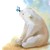 :iconnoraxie: