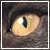 :iconnordenhimmel: