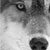 :iconnordp00l: