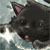 Norehnka :iconnorehnka:
