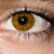 :iconnoremacv: