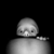 :iconnormmal: