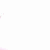 :iconnorq-holly: