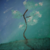 :iconnorth-radiance: