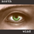 :iconnorth-wind: