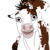 :iconnorthenfilly: